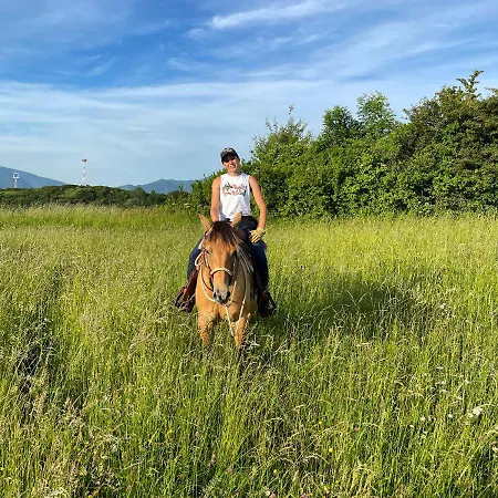 公寓 Domceky Na Ranci *