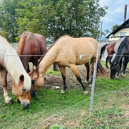 Domceky Na Ranci Apartment