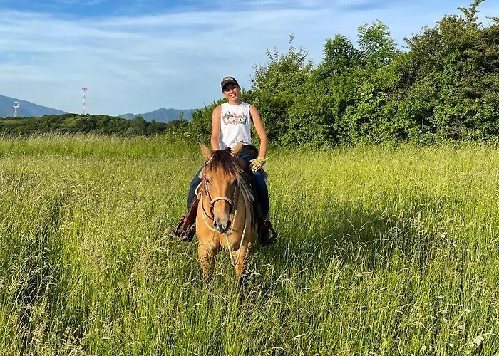 Апартаменты Domceky Na Ranci *