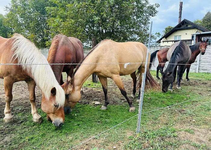 Domceky Na Ranci דירה